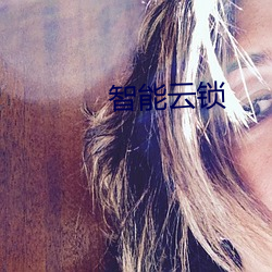 智能(能)云锁