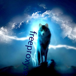 freeproxyservice