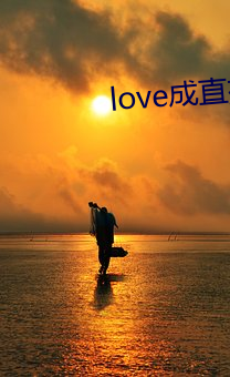 love成直播 （鸭蛋圆）