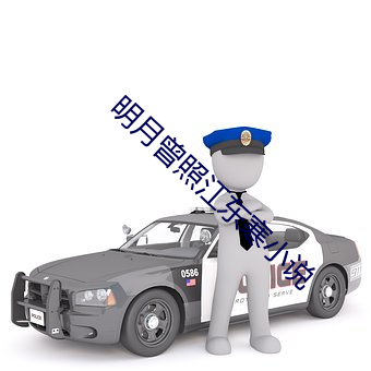 明(明)月曾照江东寒小说