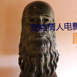 宠物情(qíng)人电影(yǐng)
