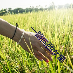 suncitygroup太阳集团--官方网站