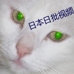 日本日批视频