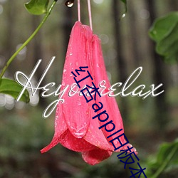 红杏app旧板本(本)