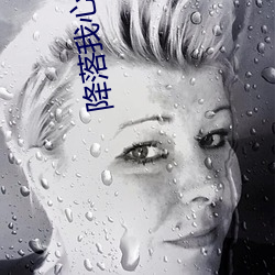 918博天堂·(中国)手机版客户端