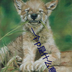 一个p是什么意思