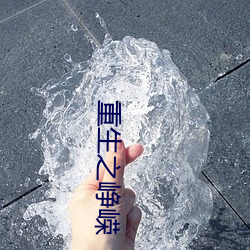 重生(生)之峥嵘