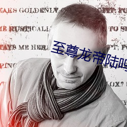 至尊龙帝陆鸣