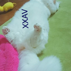 XXAV