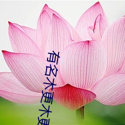 有名木更木更