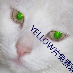 YELLOW片免费观看高清(清)大