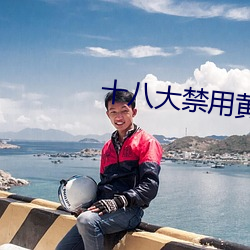 十八大禁用黄台app软件