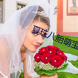 夏珠八胎萌寶完整版