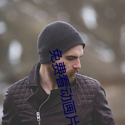 免费看动(dòng)画片