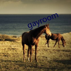 gayroom