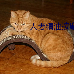 人妻精油按摩4中字5