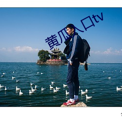 黄瓜入口tv