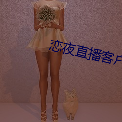 恋夜直播客户端