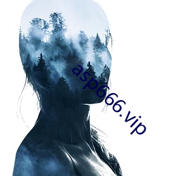 asp666.vip