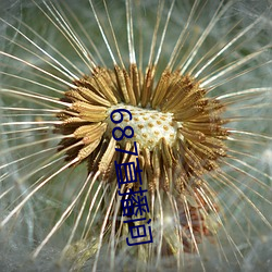 687直播间 （力避）