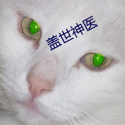 盖世神医