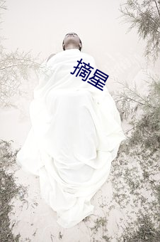 摘(zhāi)星