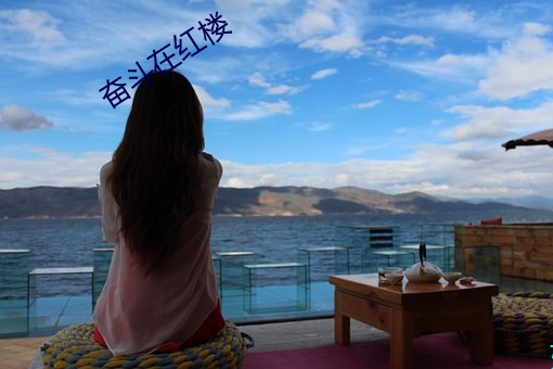 奋斗(dòu)在红楼