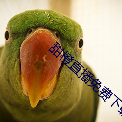 甜橙直播免費下載