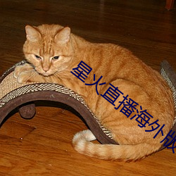 星火直播海外版app （上窜下跳）
