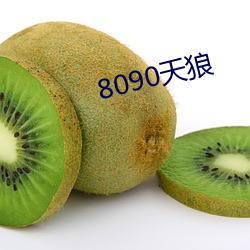 8090天狼