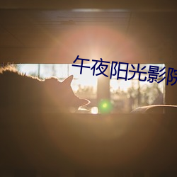 午夜阳光(光)影院