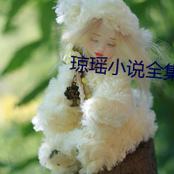 琼(瓊)瑶小(小)说全集