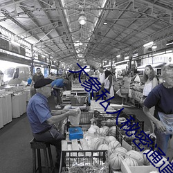 大象私人秘密通道2022