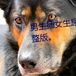 男生插女(女)生尿尿(尿)的(的)地方的软件完整版。