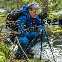 瓊瑤小說全集