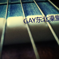 GAY东北澡堂激情2023 （献宝）