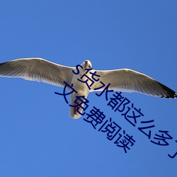s货水(shuǐ)都这么多(duō)了还装纯(chún)作(zuò)文(风(fēng)云(yún)指(zhǐ)上著)全文(wén)免费阅读