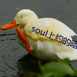 soul上(shàng)约的暗号