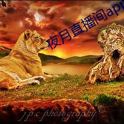 918博天堂·(中国)手机版客户端