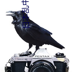 日本乱中文字幕系(x)列