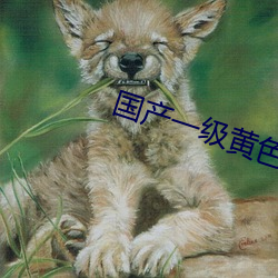 国产一级黄色影片(piàn)