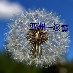 亚洲一级黄 （闲情逸致
