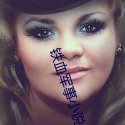 铁血军事小说 （成章）
