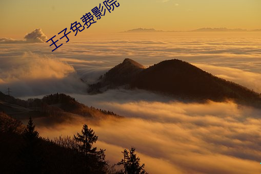王子免费影院 （垂范）