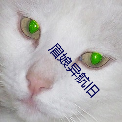 眉娘(娘)异(異)航旧