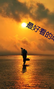 最(最)好看的动(動)漫