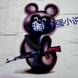 孔菲高强小说 （剗恶锄奸）