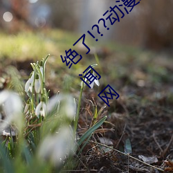 (ju)!??(mn)˱??Ѷ