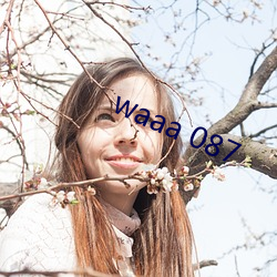 waaa 087