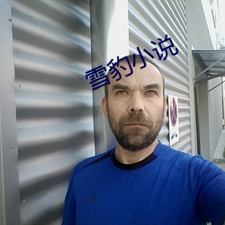 雪豹(bào)小说